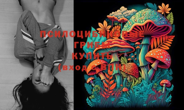 сатива Михайлов